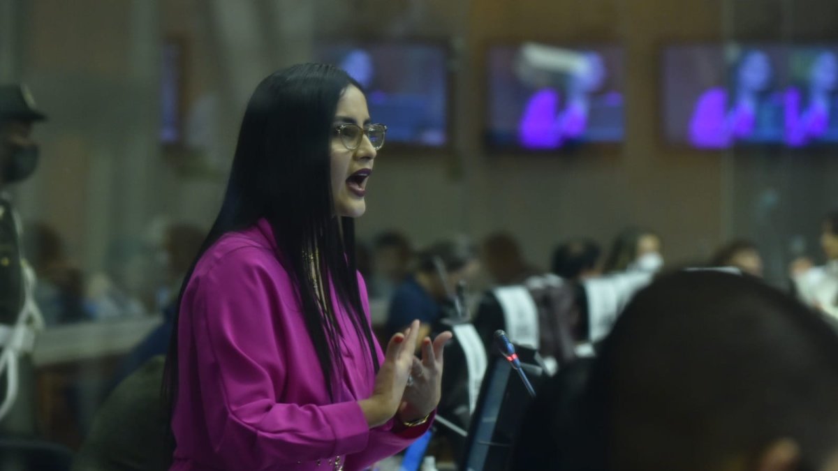 La interpelante Viviana Veloz, de Unión por la Esperanza, fue la primera en intervenir en la sesión del Pleno durante el juicio político.