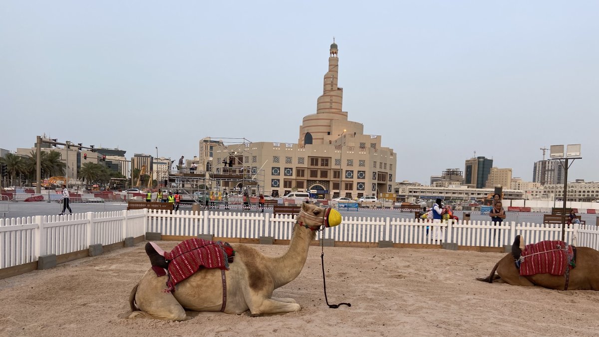 Un espacio con arena y camellos dentro del mercado de Souq Waqif es el lugar ideal para una foto.