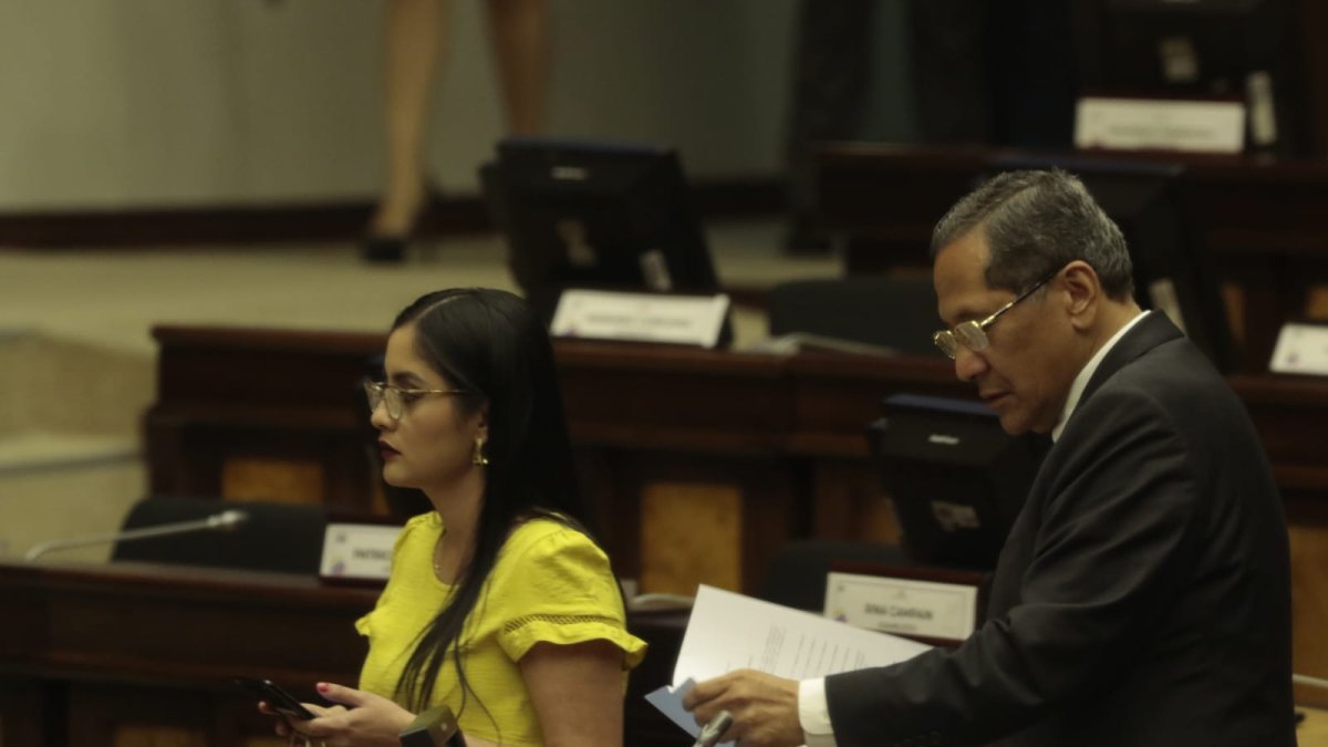 La correísta Viviana Veloz y el socialcristiano Luis Almeida actuaron como interpelantes en este juicio político.