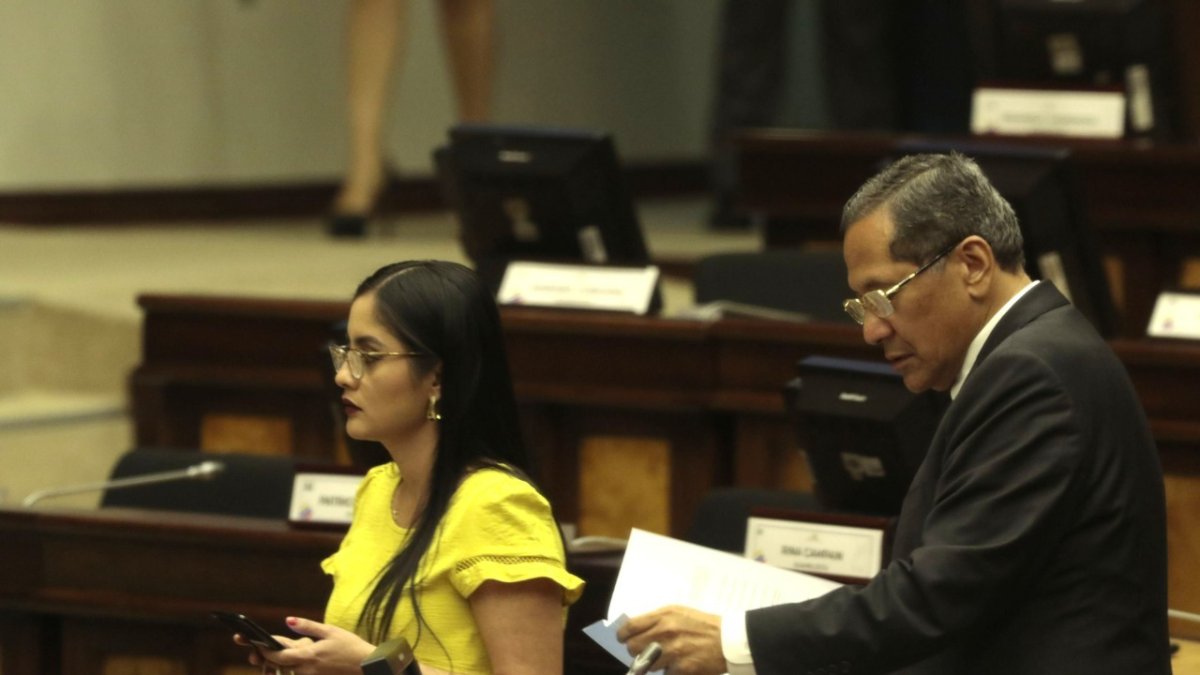 Interpelantes. La correísta Viviana Veloz y el socialcristiano Luis Almeida, designado por la bancada de aquella, expusieron las pruebas de cargo.