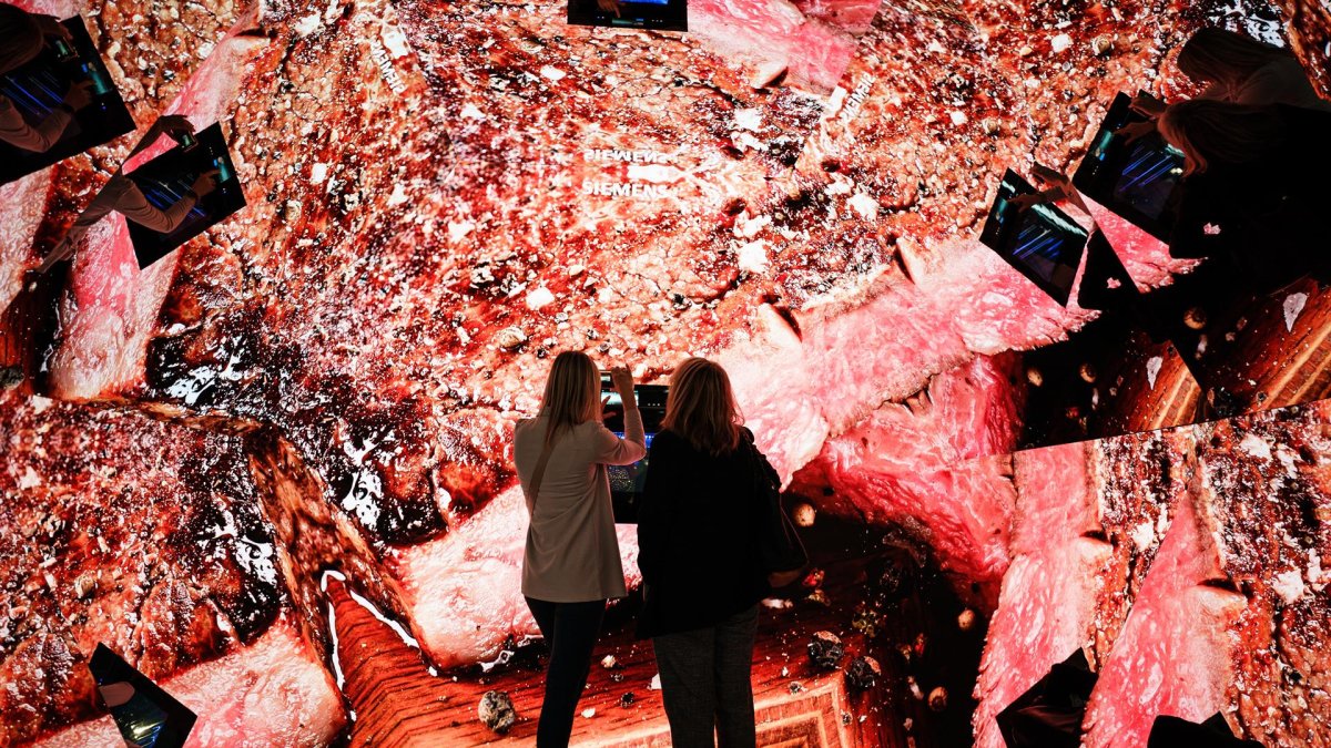 Visitantes del International Consumer Electronics Fair (Internationale Funkausstellung Berlin, IFA)