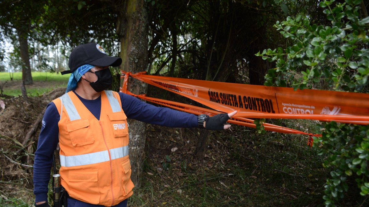 Guardaparques. Luego de la incursión de los supuestos comuneros de Tanda Pelileo, el Municipio reforzó la vigilancia del bosque de Bellavista.