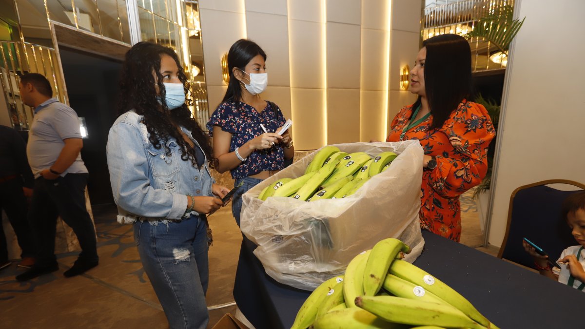 La primera Convención del Plátano Internacional se llevó a cabo el pasado 8 y 9 de septiembre, en el hotel Hilton Colón de Guayaquil.