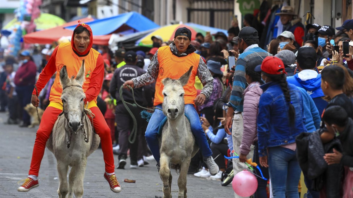 Varias personas con sus burros participan en una carrera, hoy, en Salcedo (Ecuador).