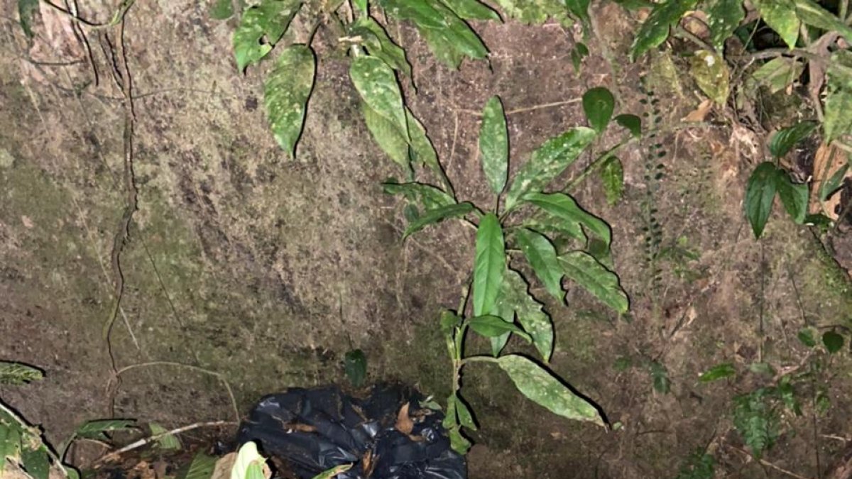 Material. Militares recibieron información de la presencia de material explosivo.