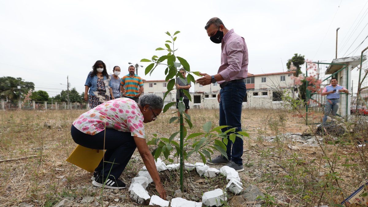 Acciones. Plantas en lugar de fundaciones. El barrio, hace pocos días, decidió sembrar una docena de árboles y diseñó un proyecto urbano en el que se incluyen rutas para trotas, pérgolas y glorietas.
