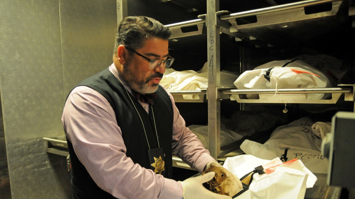 El investigador forense Gene Hernández, de la Oficina del Médico Forense del Condado de Pima muestra un cráneo   en la morgue de la oficina en Tucson, Arizona. /María León