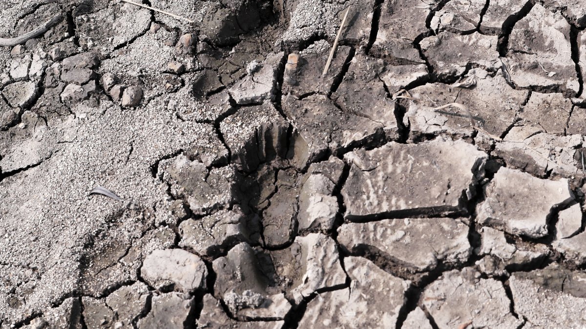 El planeta está muy afectado por el cambio climático, pero se hacen las evaluaciones