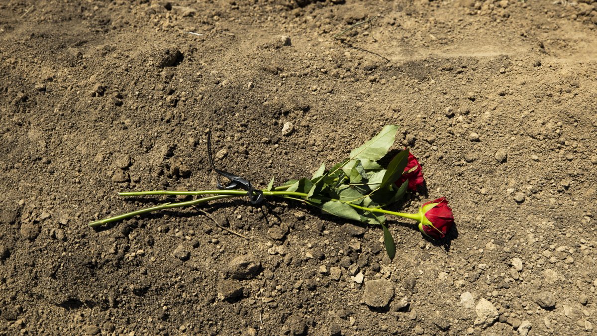 Unas flores permanecen sobre la tumba de un soldado ucraniano caído en el frente de batalla, en foto de archivo.  /Orlando Barría