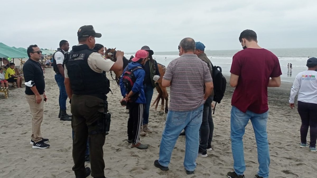 Hecho. Las autoridades controlan ahora que los paseos no se ejecuten.