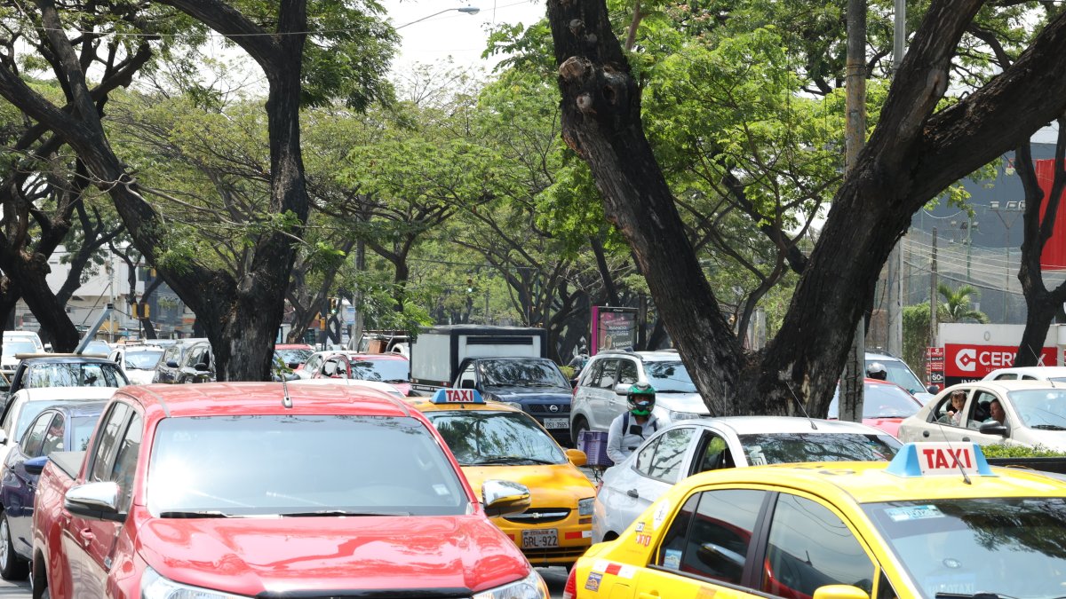 El caos vehicular se observa prácticamente en todo momento, más aún en las horas pico en las principales avenidas que rodean a La Garzota.