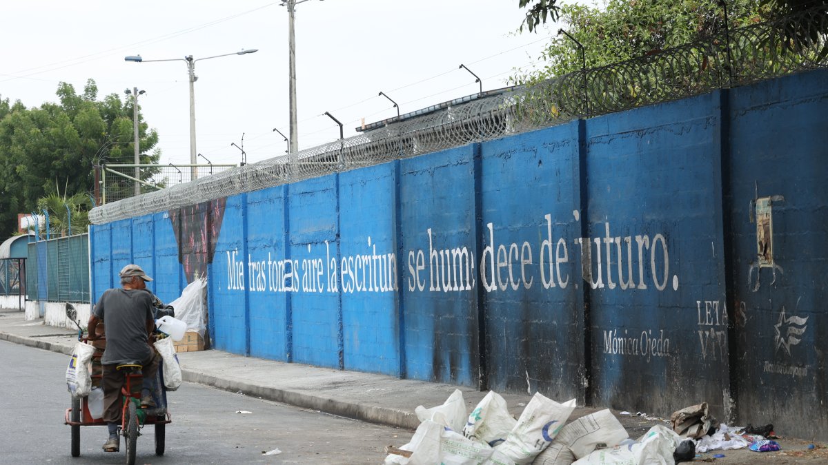 1. Panorama. Un mural del proyecto municipal, en la ciudadela Coviem, cerca de la avenida Perimetral, en el sur porteño