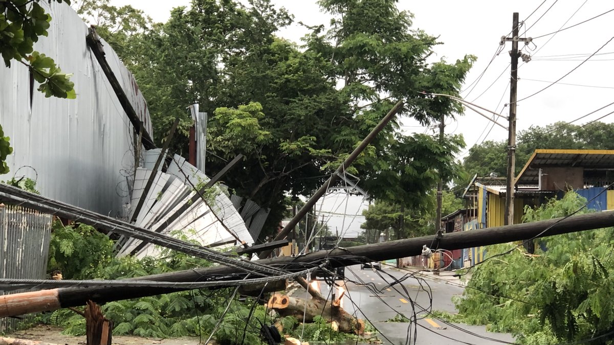 Vista de unos postes eléctricos caídos hoy después del paso del huracán Fiona por el barrio Colo en Carolina, municipio aledaño a San Juan (P.Rico). Los trabajos para restablecer poco a poco el servicio eléctrico en Puerto Rico, que sufrió un apagón general por el huracán Fiona, empezaron este lunes a obtener los primeros resultados en municipios del norte de la isla. EFE/Jorge Muñiz