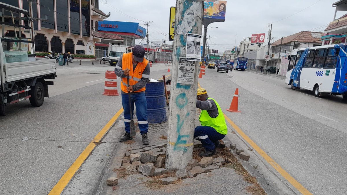 Un par de trabajadores realizan la reposición de los adoquines de un tramo del parterre de la Guillermo Pareja.