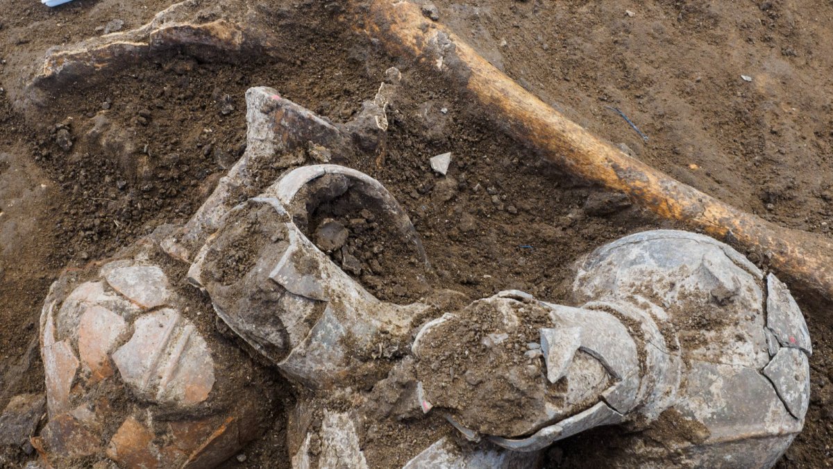 Vasos destinados a acompañar al muerto en el más allá encontradas en un yacimiento de tumbas cananeas de Tel Yehud (Israel).