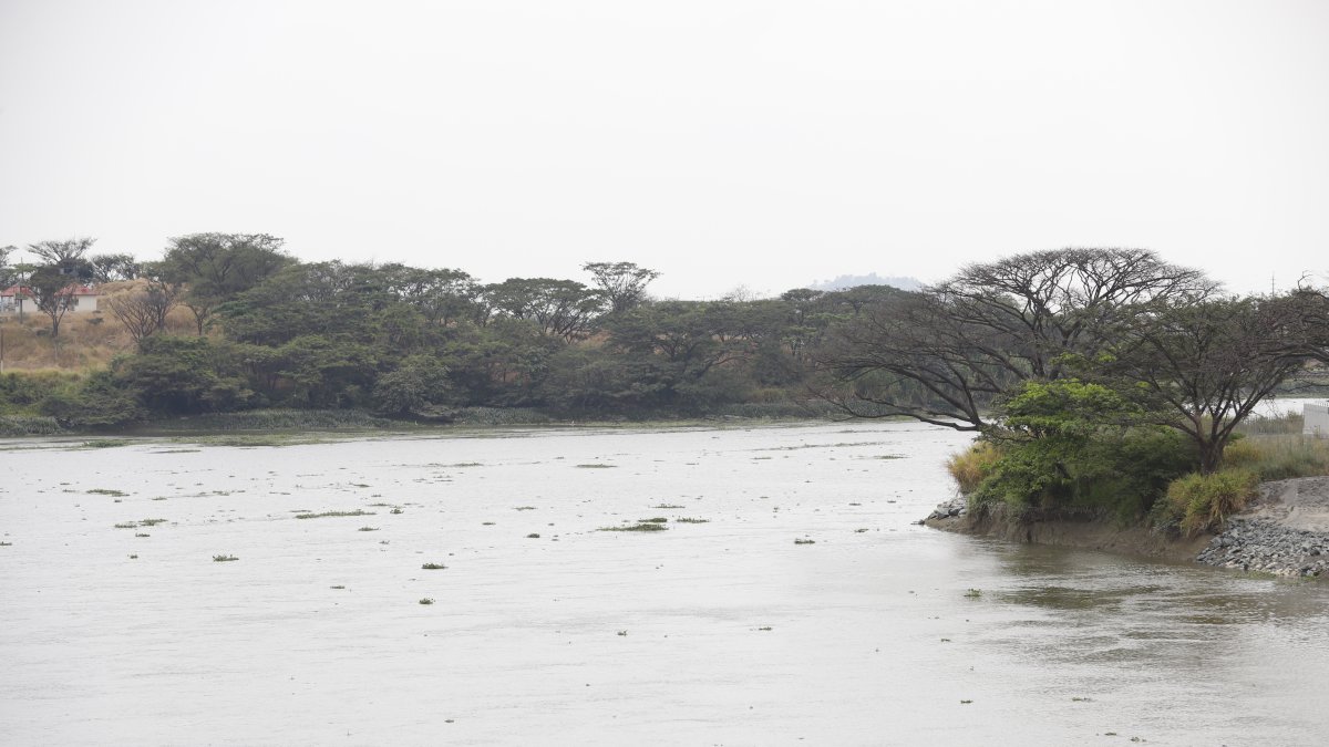 No es la primera vez que, tras las lluvias, los niveles de turbiedad en el río Daule han aumentado, obligando a interrumpir el servicio.