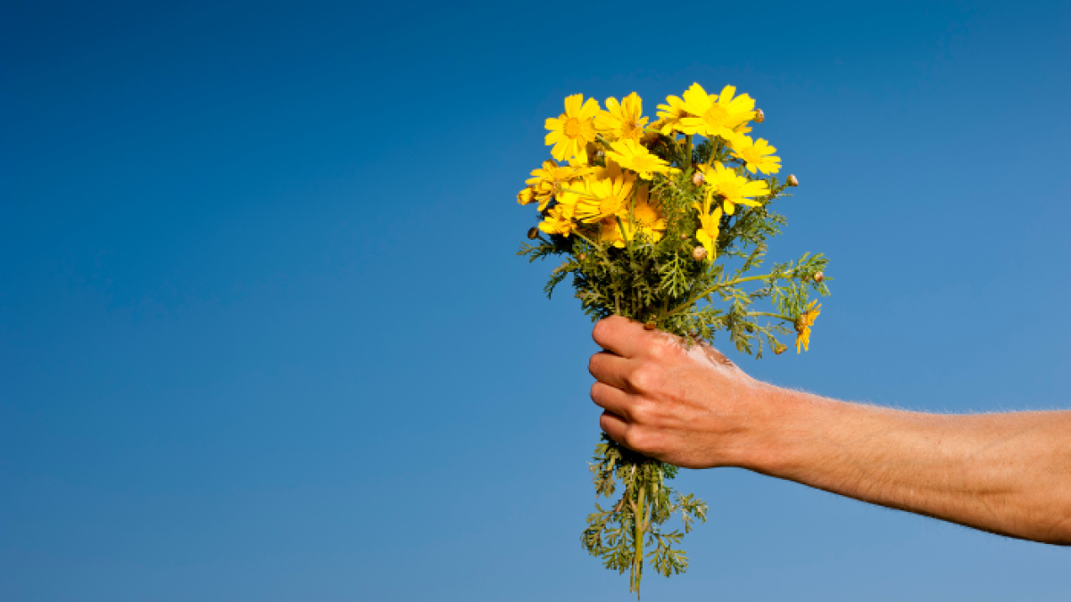 Referencial del regalo de flores amarillas.
