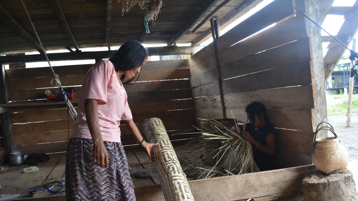 Una herencia familiar. La principal materia prima es la palma toquilla. María Quiñónez aprendió desde niña el arte de confeccionar canastos y petates.