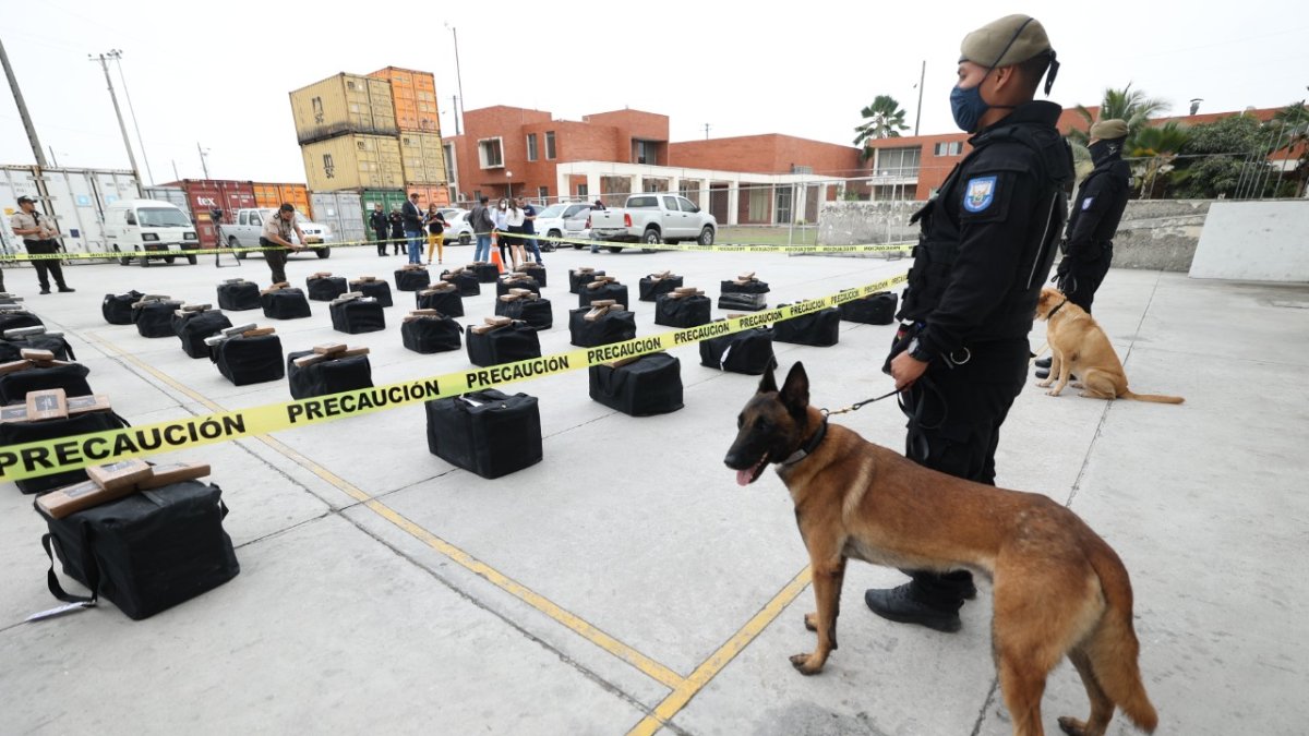 Hecho. El estupefaciente estaba camuflado en un contenedor que pretendía trasladar a Bélgica caja de bananos.