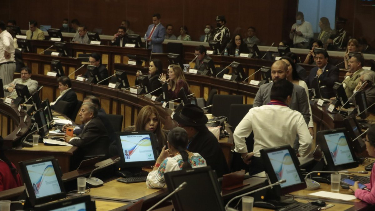 La Asamblea actual no tiene una mayoría clara de una sola organización por sí sola.