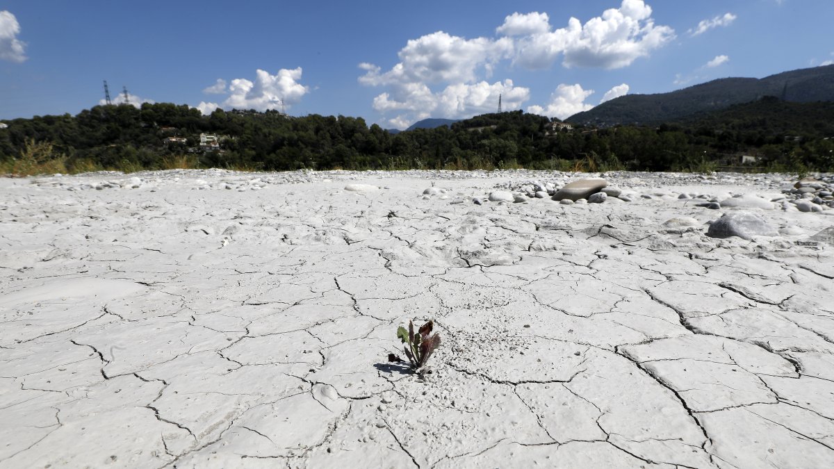 En la imagen de archivo, sequía en Saint-Martin-du-Var, sur de Francia.