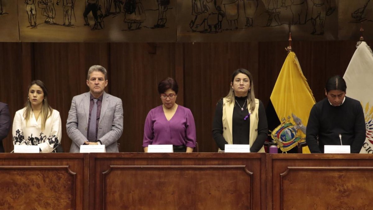 Cita. Elizabeth Otavalo, madre de María Belén Bernal, hace un recuento de los tropiezos en la búsqueda e investigación por el asesinato de su hija en la Asamblea Nacional