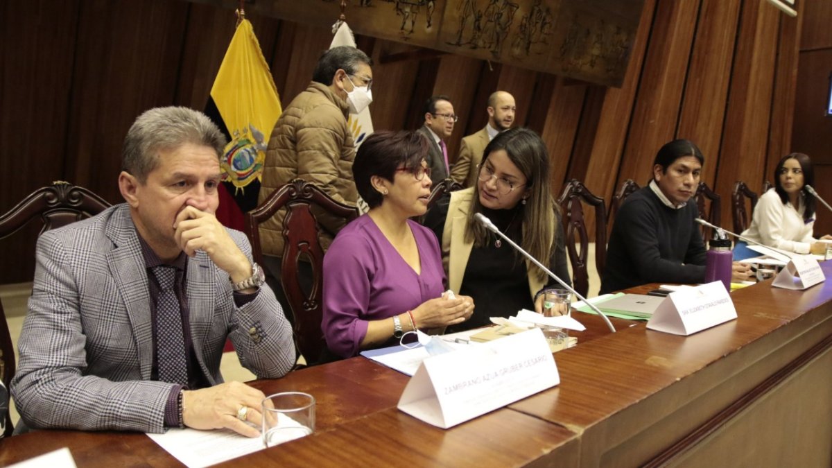 Comparecencia. Primera escala en el doloroso recorrido de Elizabeth Otavalo por la Asamblea: en la Comisión de Garantías Constitucionales, conversa con Victoria Desintonio.