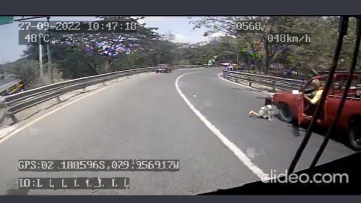 La pequeña quedó en la mitad de los dos carriles y afortunadamente no fue embestida por otro automóvil.