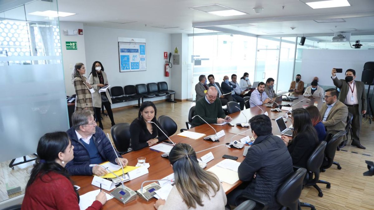 La Comisión de Régimen Económico se reunió con varios actores relacionados a la segurida social.