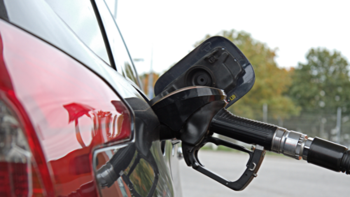 El Gobierno busca mejorar su calidad.