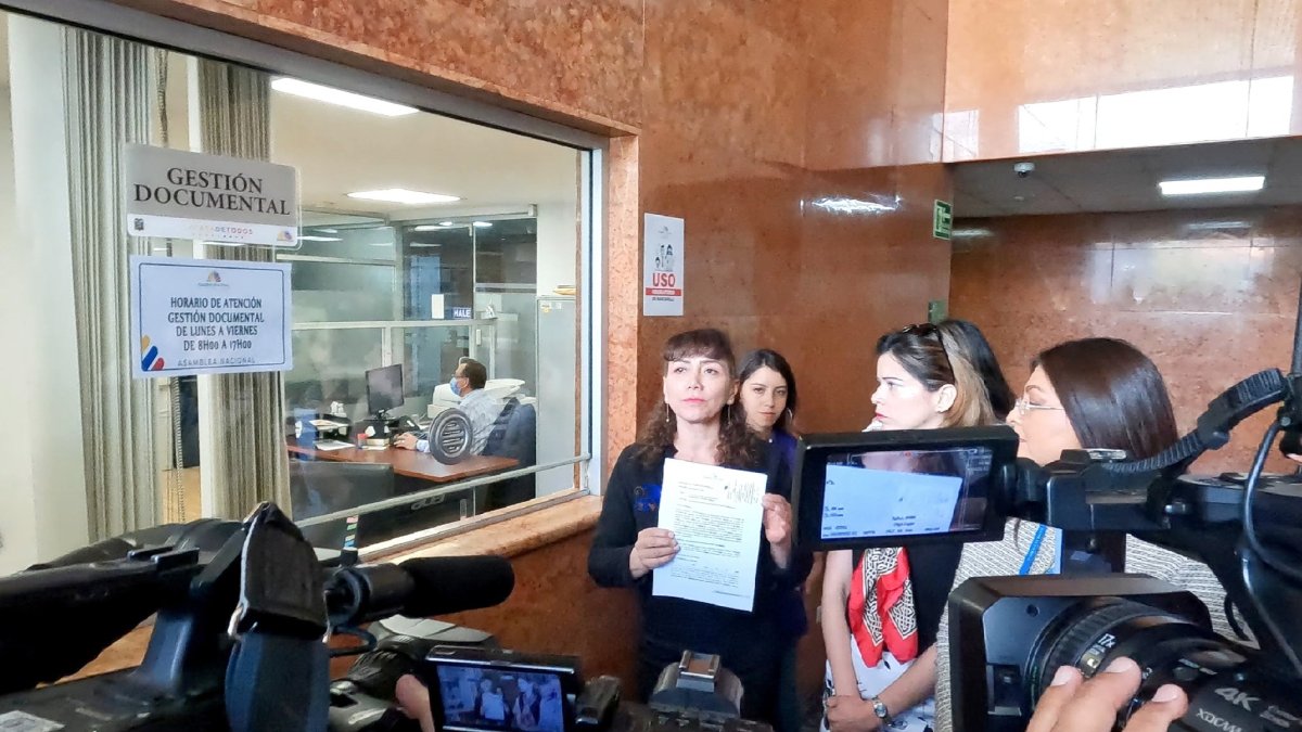 Nuñez estuvo acompañada por otras colegas de bancada al momento de la presentación de la queja.