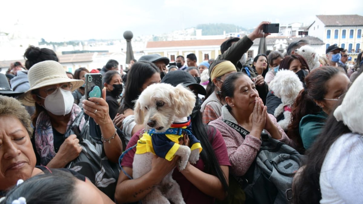 Bendición de mascotas en Quito.