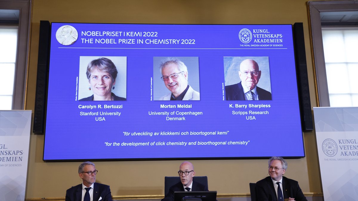 Miembros de la Real Academia de Ciencias durante el anuncio de los ganadores del Premio Nobel de Química, en la pantalla, este miércoles 5 de octubre en Estocolmo.