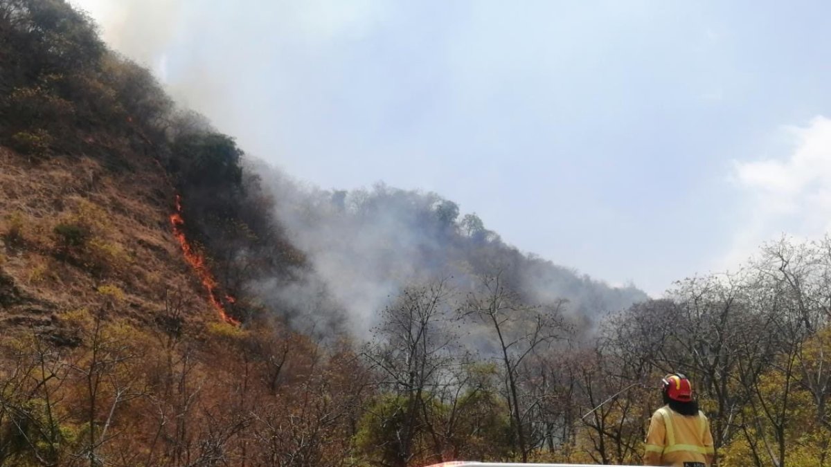 El fuego fue controlado a las 16:00 del jueves 6 de octubre.