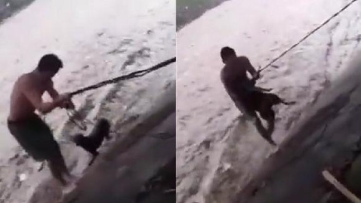 El excampéon mundial de boxeo Félix Alvarado arriesgó su vida para rescatar a un perro dentro de un cauce fluvial en Managua, durante el ciclón tropical Julia
