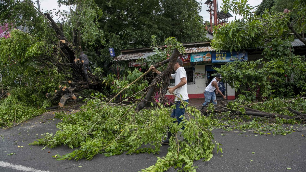 Personas retiran hoy unos arboles caídos tras el paso de la tormenta tropical Julia, en la ciudad de Bluefields (Nicaragua).