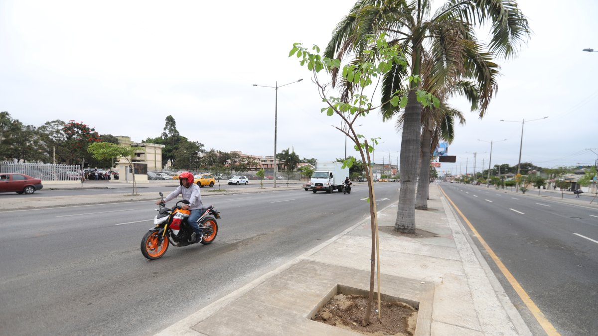 Efecto. Hasta el martes 11 de octubre se habían desmontado 9 estructuras que fueron instaladas en la vía pública, en avenidas como la 25 de Julio, en el sur.