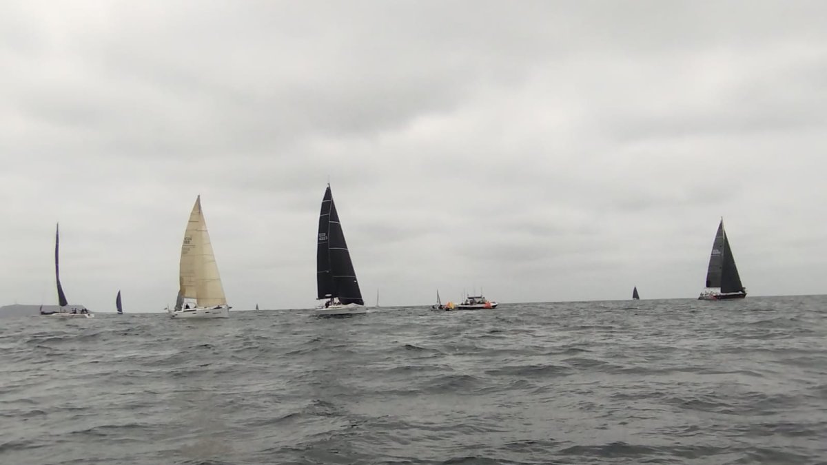 Los veleros participantes irán este sábado 15 hasta Puerto Ayora.