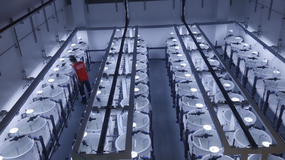 Instalaciones. El centro de investigación de Skretting queda en Durán.