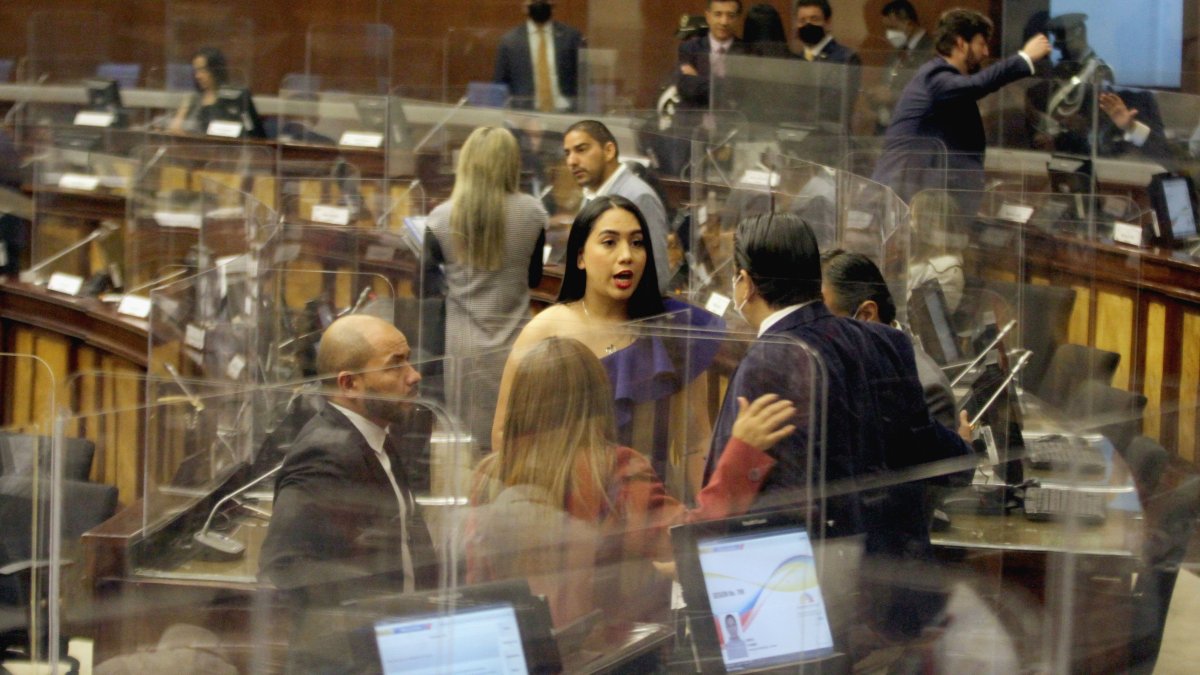 Postura. Los asambleístas Alejandro Jaramillo y Johanna Moreira forman parte del ala rebelde de la ID.