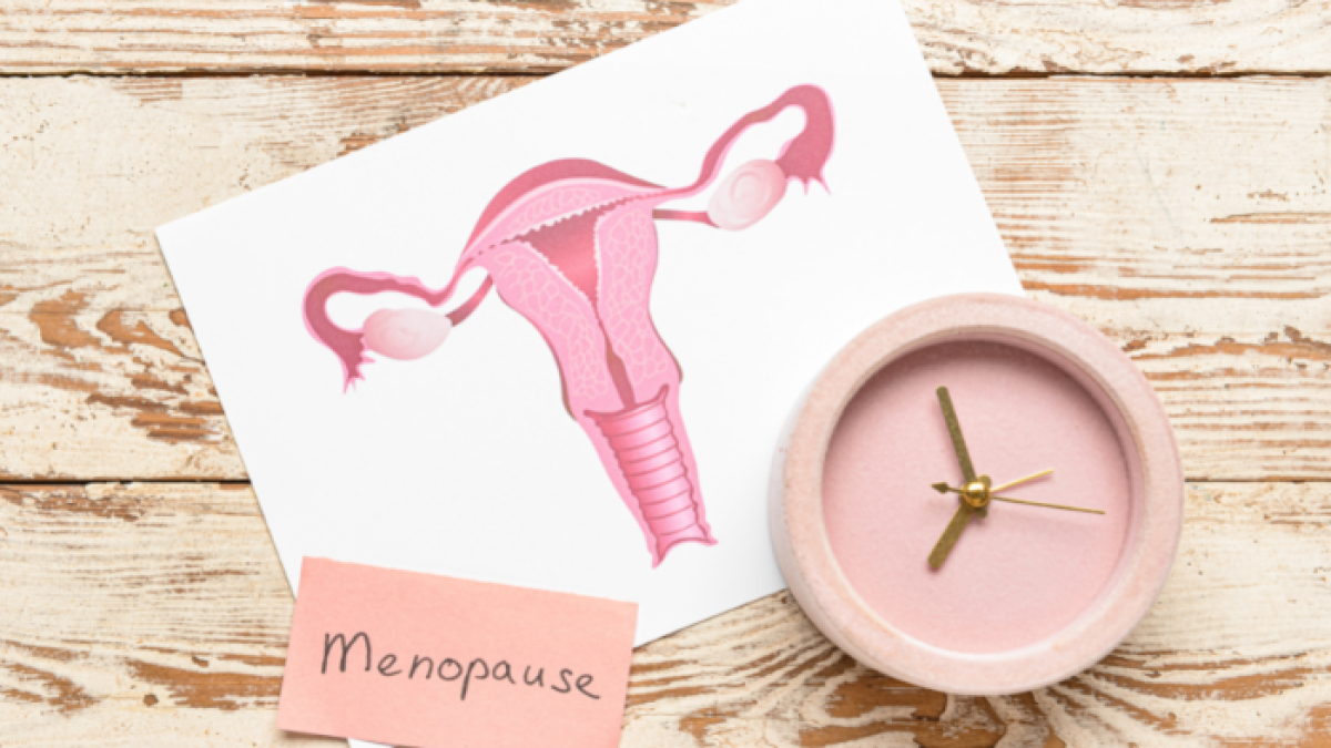 La menopausia es el momento que marca el final de los ciclos menstruales