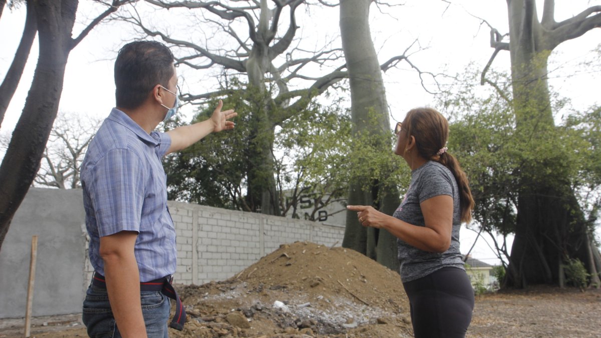 Un grupo de residentes de Samanes 1 denunció la construcción de casas cerca de árboles nativos.