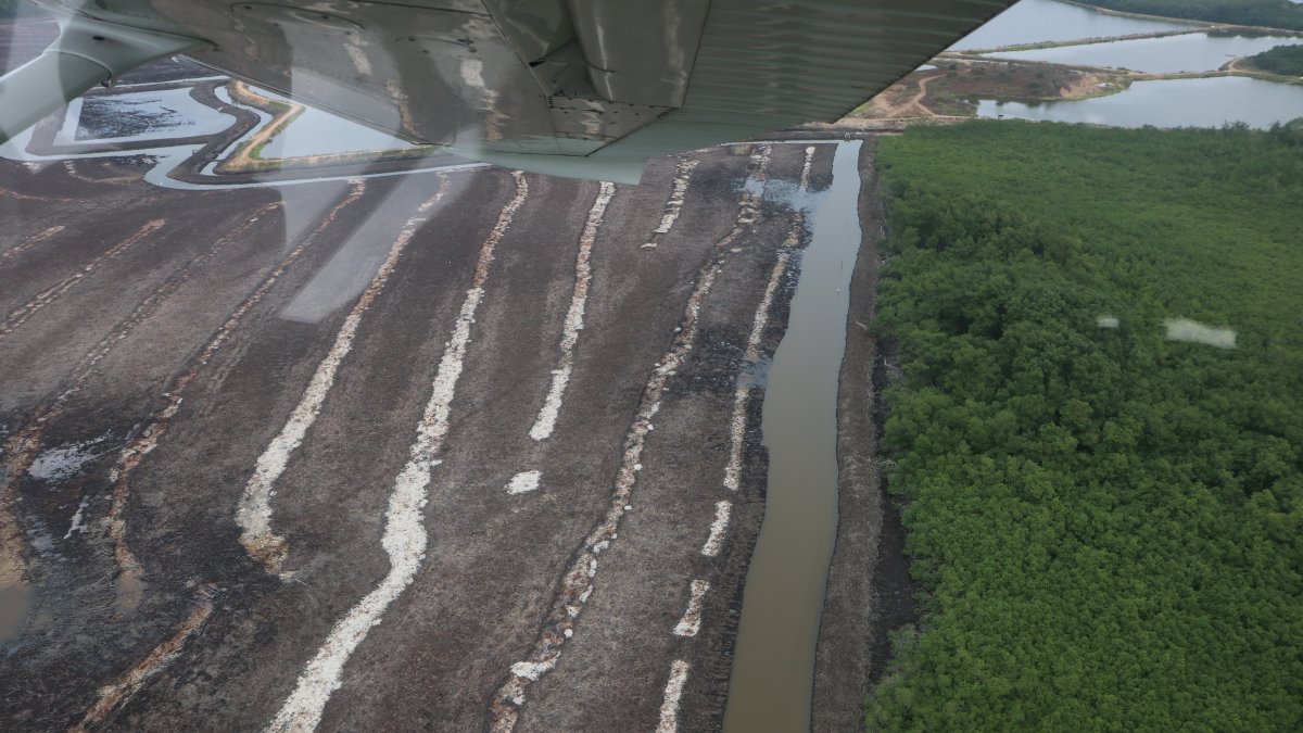 Vista panorámica del manglar deforestado en la zona del Golfo.  