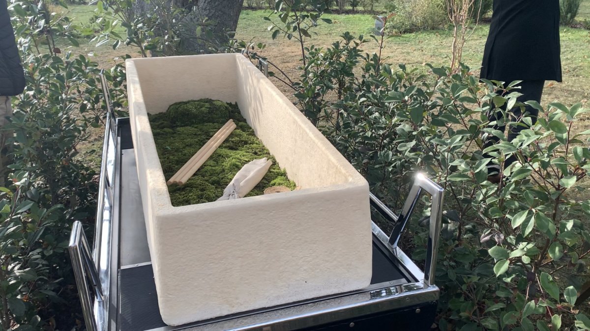 Uno de los nuevos ataúdes vivos del cementerio de Viena, hecho de hongos y que actúa como fertilizante natural.