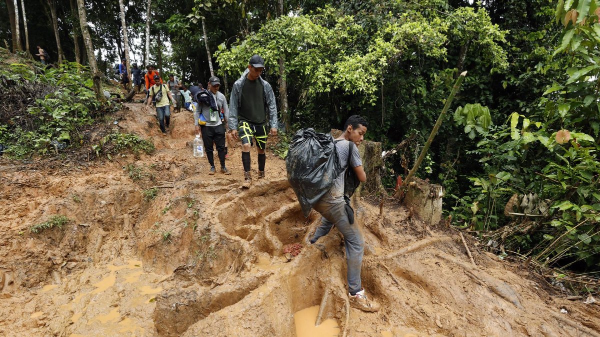 Migrantes venezolanos suben una montaña con la intención de llegar a Panamá, en el Tapón del Darién (Colombia).
