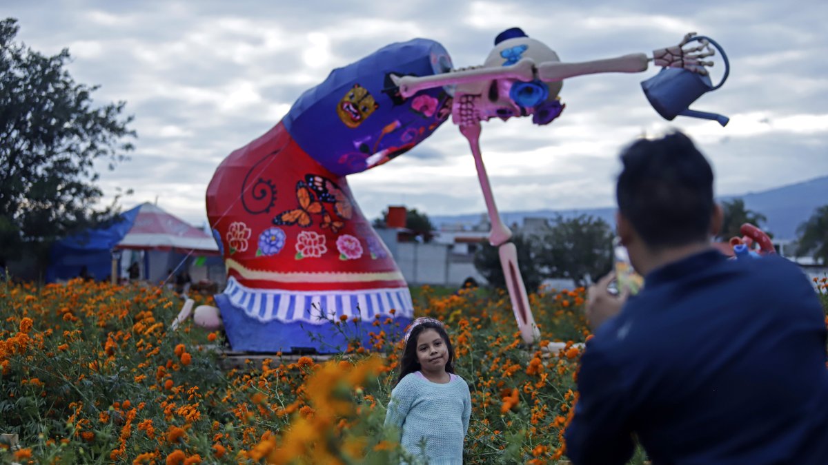 Imagen. Frida Florista representa a todos los productores de flor. El municipio es uno de los mayores productores de flores.