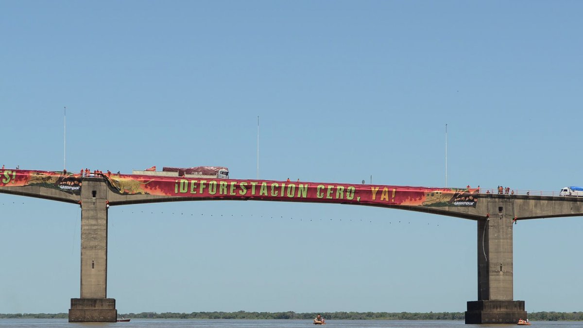 Una decena de activistas de Greenpeace se colgaron este 24 de octubre, del puente que une las ciudades de Resistencia y Corrientes (Argentina)