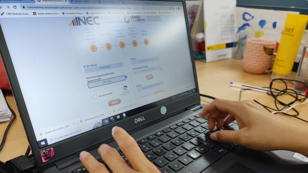 Consulta en el portal web del Instituto Nacional de Estadística y Censos (INEC).