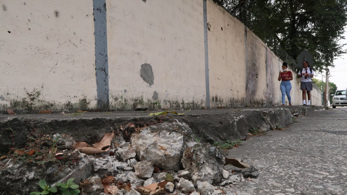 La veredas de la ciudadela 9 de Octubre no han recibido mantenimiento.