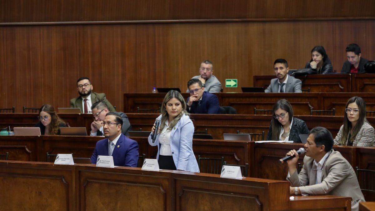 El excoordinador de veeduría al proceso del contralor, Guido Egas (d), indicó la influencia del Ejecutivo.